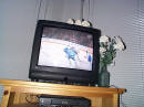 We watched a lot of hockey on this trip.